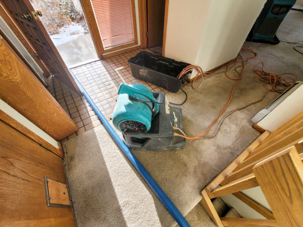 Best 24-hour water damage restoration  in Phoenix Lake, CA