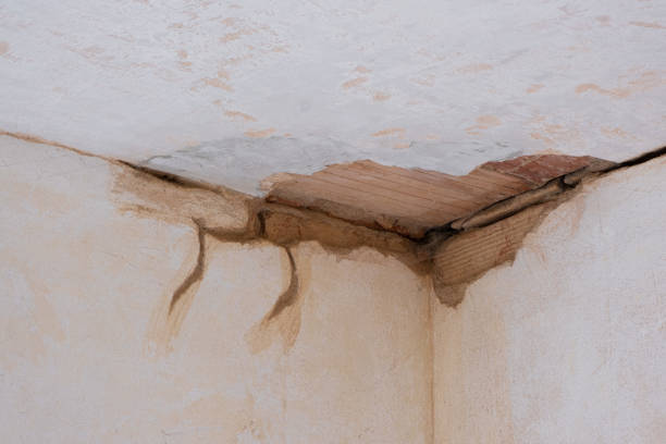 Best Water damage cleanup near me  in Phoenix Lake, CA