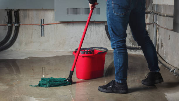 Best Emergency water damage restoration  in Phoenix Lake, CA