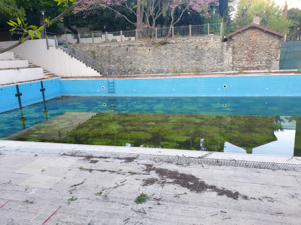 Best Flood restoration services  in Phoenix Lake, CA