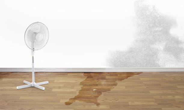 Best Water damage restoration services  in Phoenix Lake, CA
