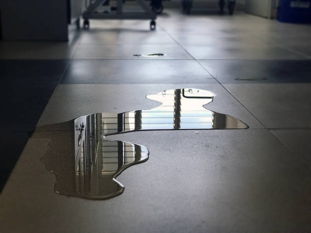 Phoenix Lake, CA Water damage restoration Company