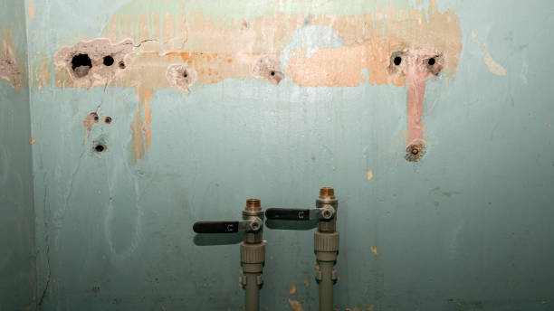 Best Water damage restoration near me  in Phoenix Lake, CA