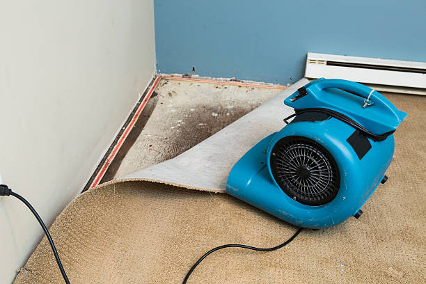 Best Water damage restoration mold remediation  in Phoenix Lake, CA